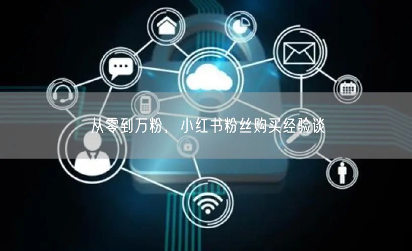 从零到万粉，小红书粉丝购买经验谈