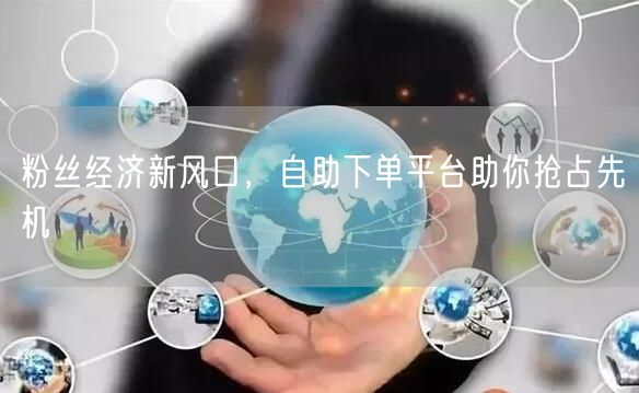 粉丝经济新风口，自助下单平台助你抢占先机