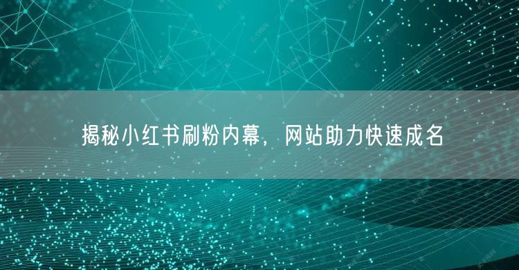 揭秘小红书刷粉内幕，网站助力快速成名