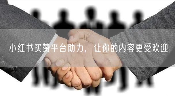 小红书买赞平台助力，让你的内容更受欢迎