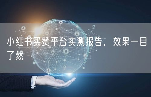 小红书买赞平台实测报告，效果一目了然