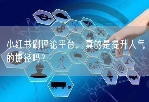 小红书刷评论平台，真的是提升人气的捷径吗？