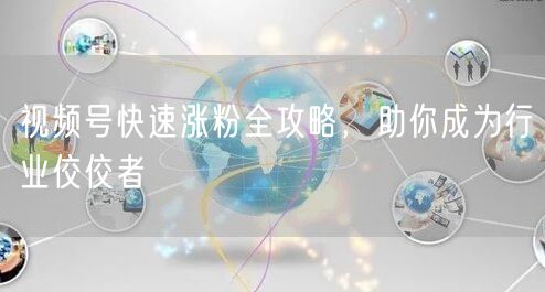 视频号快速涨粉全攻略，助你成为行业佼佼者