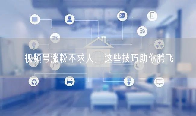 视频号涨粉不求人，这些技巧助你腾飞