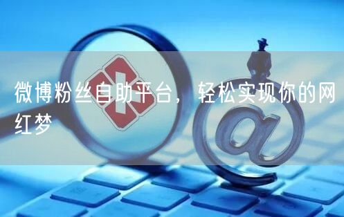 微博粉丝自助平台，轻松实现你的网红梦