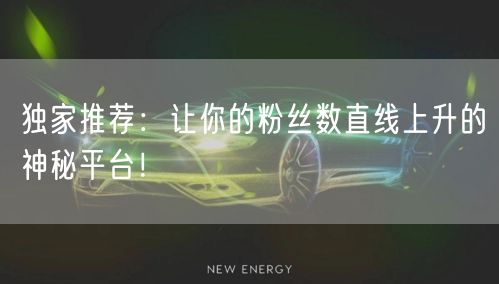 独家推荐：让你的粉丝数直线上升的神秘平台！