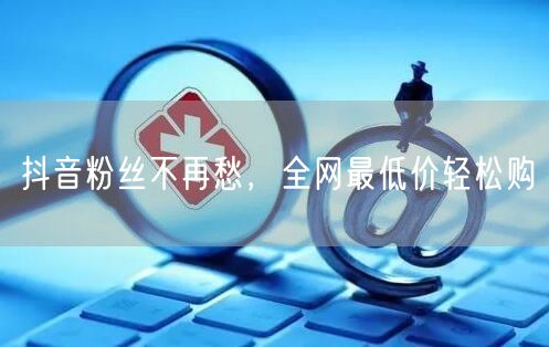 抖音粉丝不再愁，全网最低价轻松购
