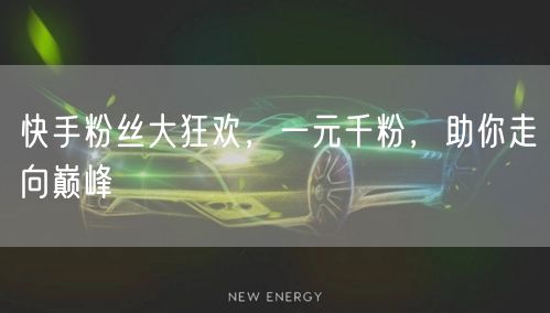 快手粉丝大狂欢，一元千粉，助你走向巅峰