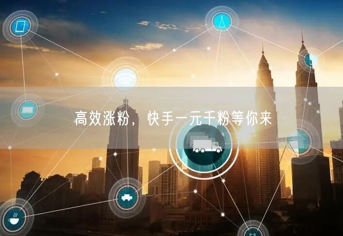 高效涨粉，快手一元千粉等你来