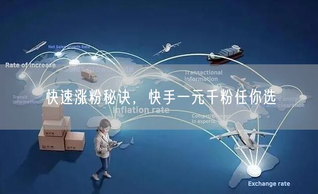 快速涨粉秘诀，快手一元千粉任你选