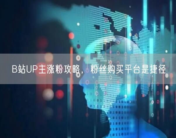 B站UP主涨粉攻略，粉丝购买平台是捷径