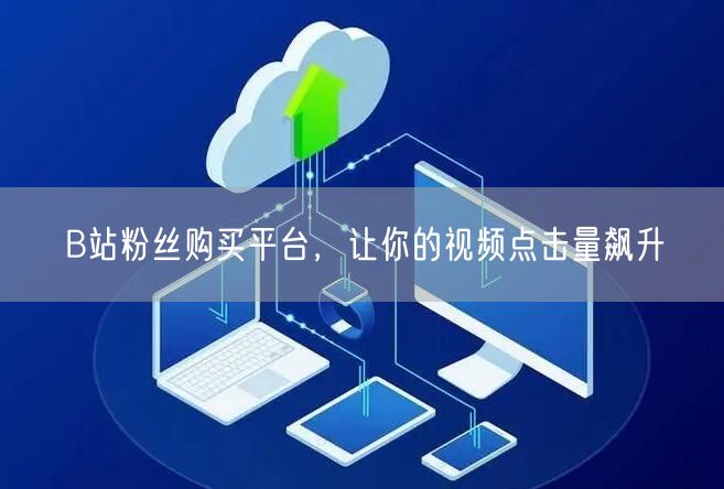 B站粉丝购买平台，让你的视频点击量飙升