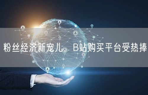 粉丝经济新宠儿，B站购买平台受热捧