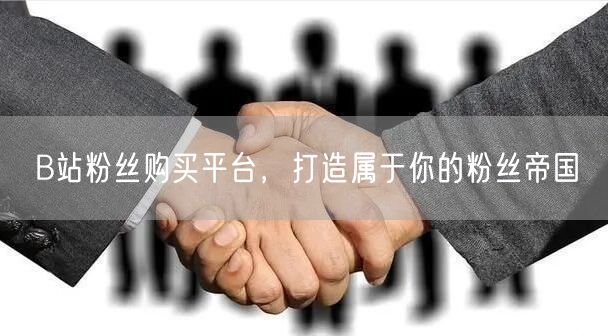 B站粉丝购买平台，打造属于你的粉丝帝国