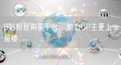 B站粉丝购买平台，助力UP主更上一层楼